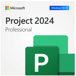 Licenta Microsoft Project Professional 2024